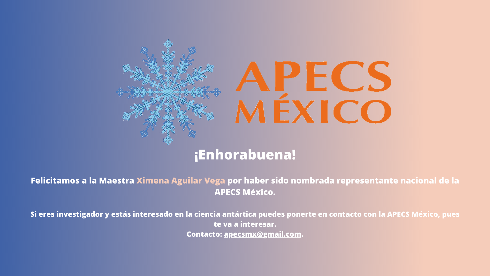 APECS México